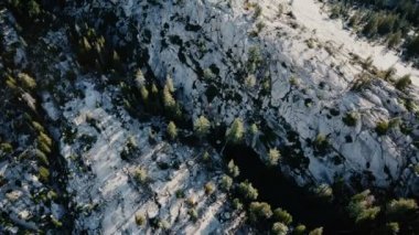 Güneşli Yosemite Milli Parkı 'ndaki çam ağaçlarıyla kaplı inanılmaz beyaz dağ sırtı üzerinde uçan insansız hava aracı.