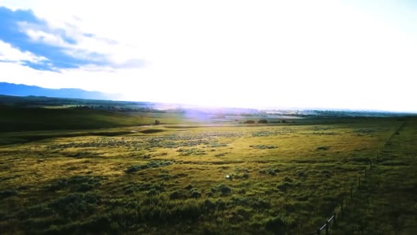 Drönare Svänger Vänster Ovanför Magnifika Fridfulla Gräsmarker Grön Slätt Prärielandskap — Stockvideo