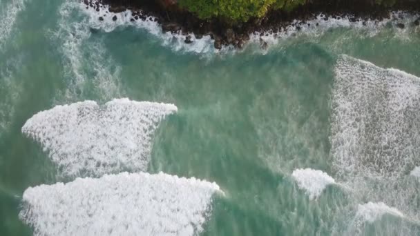 熱帯の海岸に達する白い泡の海の波の壮大な空撮島のヤシの木と家をリゾート — ストック動画