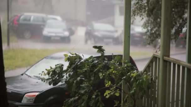 車の木や地面に豪雨と音のある雷 — ストック動画