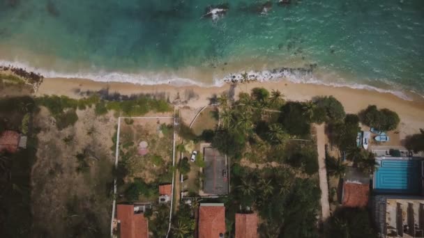 在阳光明媚的日子里 用棕榈树海浪冲刷着美丽的海滩的奇异海滨度假别墅被禁飞 — 图库视频影像