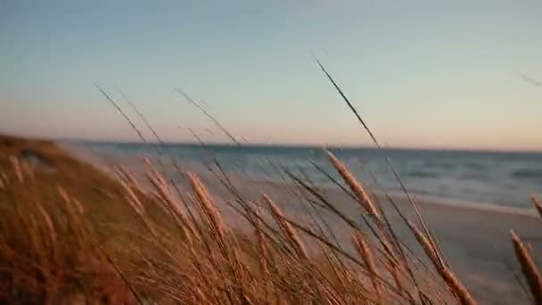 Piaszczysta Plaża Piękny Wieczór Nad Morzem Słów Serce Piasku Wydmy — Wideo stockowe