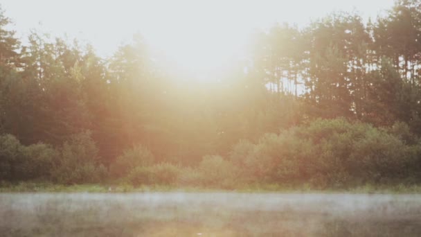雾气飘扬在湖面上 美丽的晨景在森林的阳光下闪闪发光 — 图库视频影像