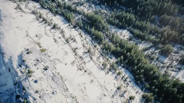 drone vue de dessus survolant la belle crête rocheuse de montagne blanche couverte de forêt de pins au parc national de yosémite 