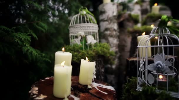 Bela Decoração Casamento Com Velas Vidoeiro Logs — Vídeo de Stock