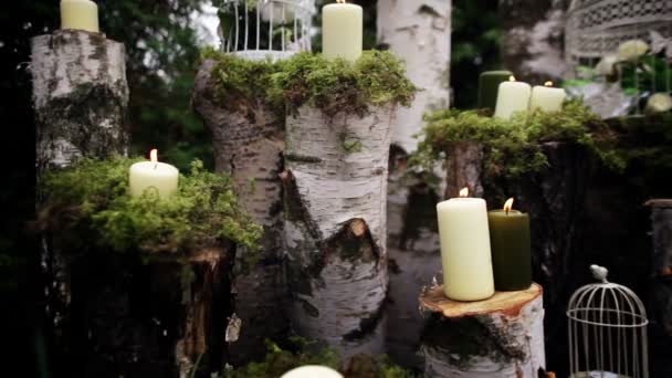 Beautiful Wedding Decor Candles Birch Logs — Stock Video