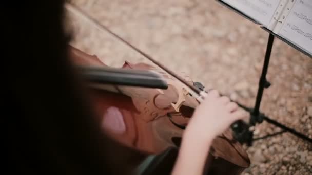 Κορυφαία Άποψη Της Γυναίκας Παίζει Βιολοντσέλο Νεαρός Τσελίστας Κάθεται Και — Αρχείο Βίντεο