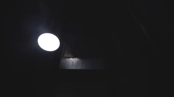 Низкоугловой Вид Пустой Лифт Офисного Здания Прозрачной Стеклянной Стеной Движущейся — стоковое видео