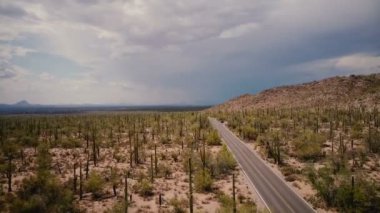 Arizona Ulusal Parkı 'ndaki muhteşem kaktüs tarlasının ortasında, çöl yolu üzerinde alçaktan uçan bir dron.