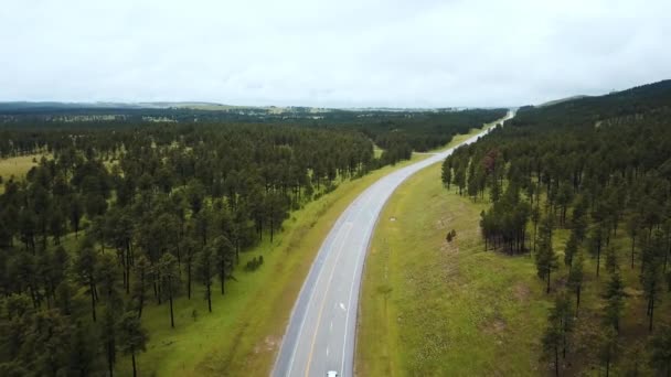 Drönare Flyger Över Tom Motorväg Väg Mitt Vackra Vilda Gröna — Stockvideo