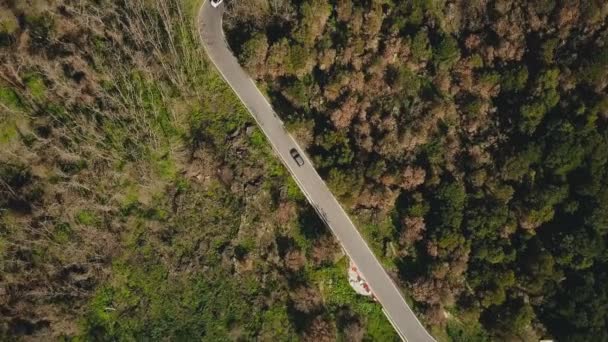 Drone Follows Car Driving Mountain Road Aerial View Narrow Forest — Stockvideo