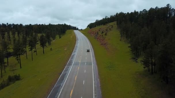 Drone Segue Carro Prata Movendo Longo Estrada Concreto Entre Floresta — Vídeo de Stock