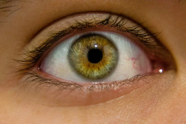 green eye, close up of eye