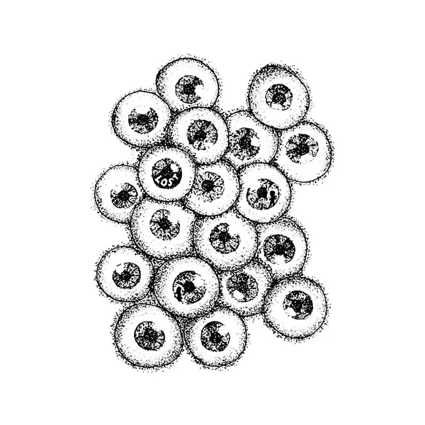 Dotwork Human Eyeballs — Stock Vector