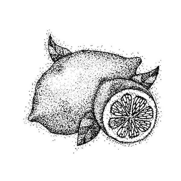 Dotwork Lemon Fruit — Stock Vector