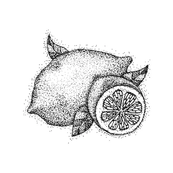 Lemon Fruit Dotwork — Stock Photo, Image