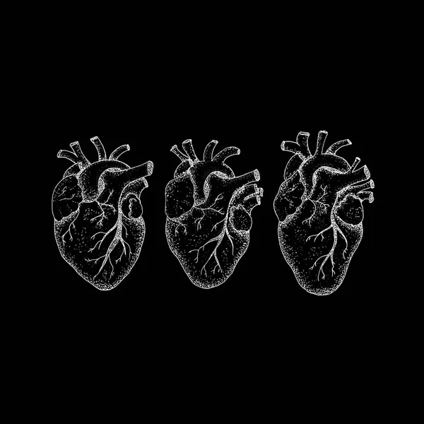 Three Human Hearts over Black — Stock Photo, Image