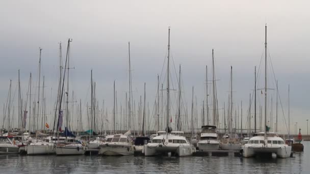 Parkering av yachter. Valencia, Spanien — Stockvideo