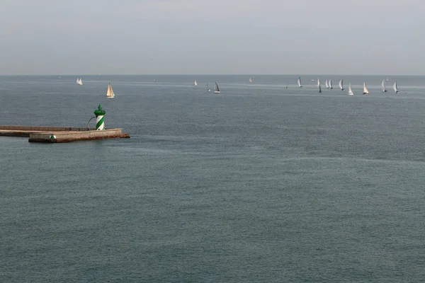 Regata de vela na entrada no porto — Fotografia de Stock