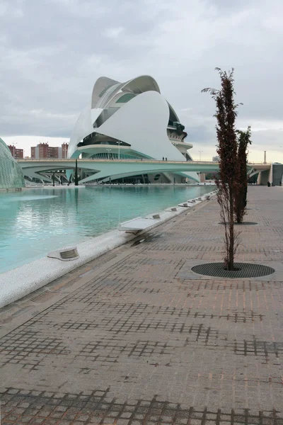 "Ville d'art an'City of art and science ", Palais des arts de la reine Sofia. Valencia, Espagne — Photo