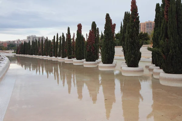Laan van cipressen, "Stad van kunst en wetenschap". Valencia, Spanje — Stockfoto