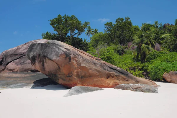 Sull'isola tropicale. Baie Lazare, Mahe, Seychelles — Foto Stock