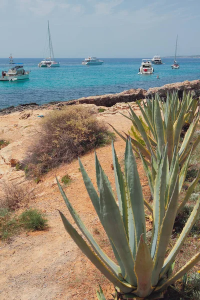 Steniga kust och yachter i bukten Cala Xinxell. Palma-de-Mallorca, Spanien — Stockfoto