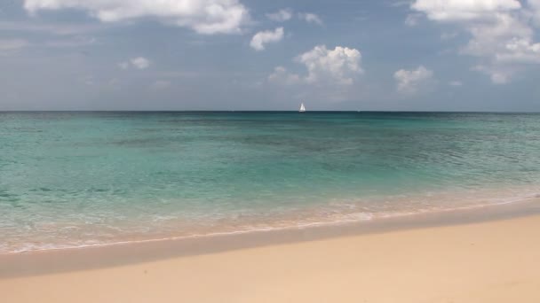Písečná Pláž Moře Brandons Bridgetown Barbados — Stock video