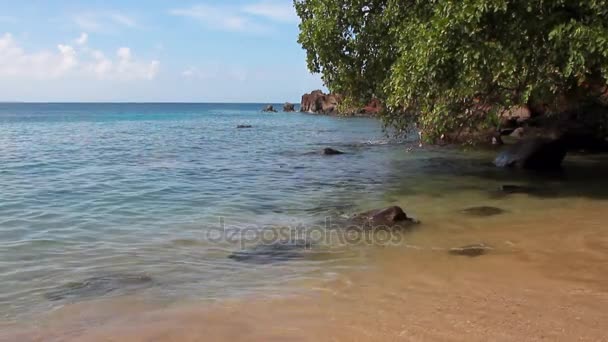 Nel Golfo Indian Bay Kingstown Saint Vincent Grenadine — Video Stock