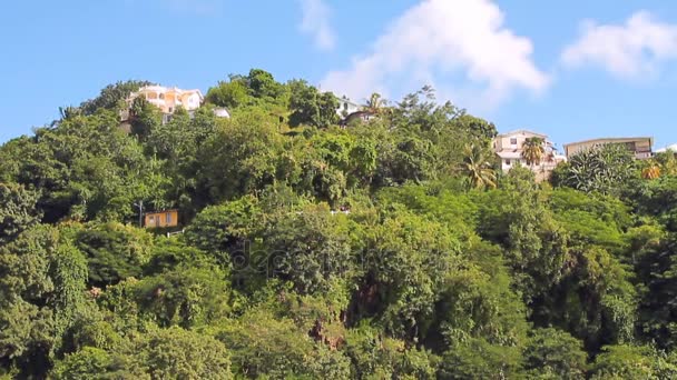 Передмістя Міста Тропічному Острові Kingstown Сент Вінсент Гренадини — стокове відео
