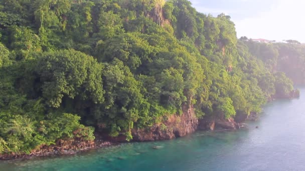 Tropenküste Königstown Saint Vincent Und Grenadinen — Stockvideo