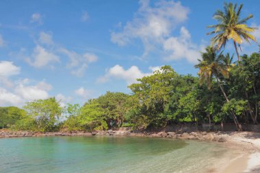 Tropik adada Körfez. Pointe-du-dersin, Martinique