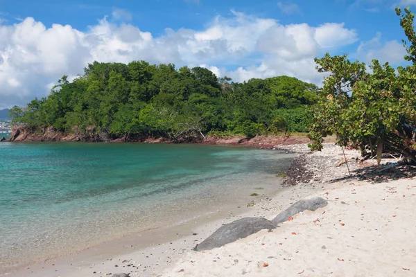 Zandstrand op een tropisch eiland. Pointe-du-Bout, Martinique — Stockfoto