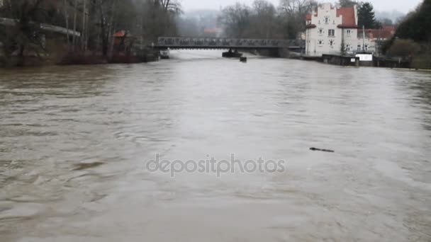 Szorstki Rzeka Stream Sigmaringen Badenia Wirtembergia Niemcy — Wideo stockowe