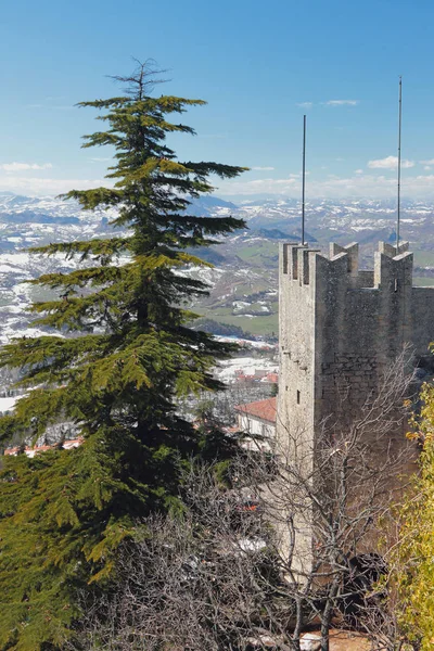 Jedle a středověká věž v horách. San Marino — Stock fotografie