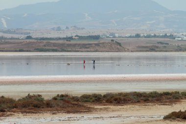 Salt Lake ve fotoğrafçı ortadaki model. Larnaka, Kıbrıs