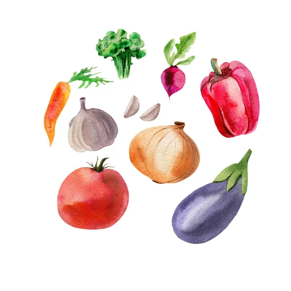 素描水彩画木瓜 西红柿 胡萝卜 西兰花 素食主义 孤立的白色背景下的一组农产品 — 图库照片#