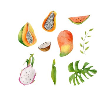 Tropical fruits set watercolor illustration papaya dragon mango watermelon monstera leaves isolated on white background