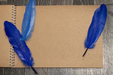 Tüylü boş bir yaprak