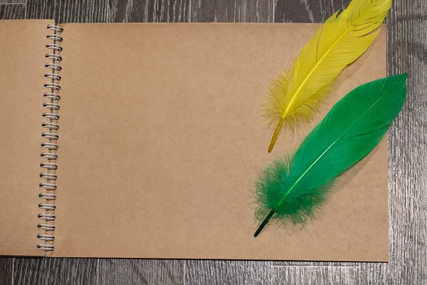 Tüylü boş bir yaprak