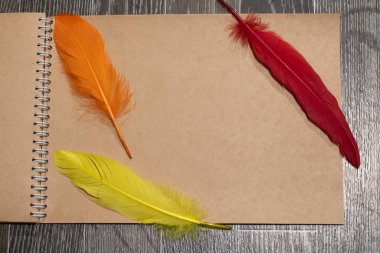 Tüylü boş bir yaprak