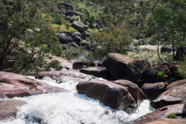 Milli Park John Forrest milli park alanında çalışan akış düşüyor