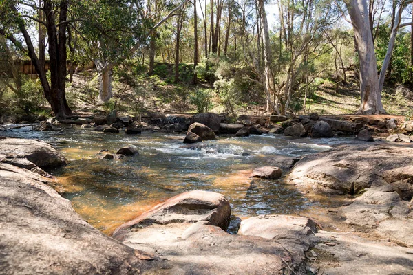 Ein kleiner Bach fließt durch den john forrest nationalpark — Stockfoto