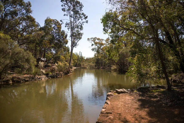 A river flowing through John Forrest National Park — Stock Photo, Image