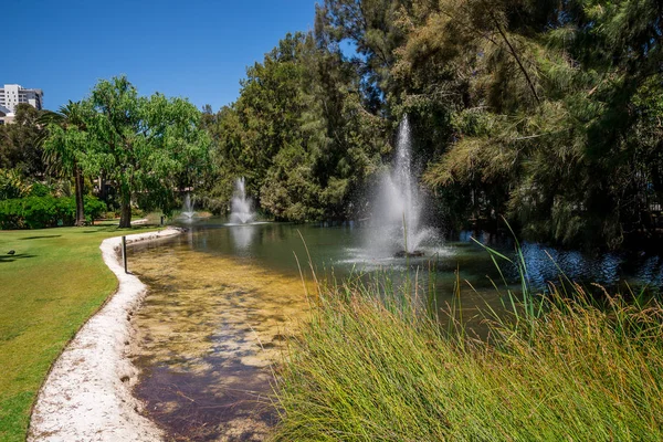 Perth, Australia Occidental, noviembre de 2016: Fuentes en un pequeño estanque en los jardines de Government House en Perth City — Foto de Stock