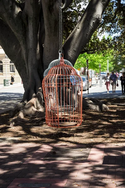 Perth, Australia Occidental, noviembre de 2016: Dos grandes jaulas colgantes en un árbol en Murray Street, Perth — Foto de Stock