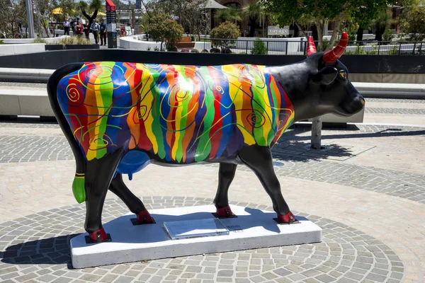 Perth, Australia Occidental, noviembre de 2016: Vaca negra pintada cerca del campanario en la ciudad de Perth — Foto de Stock