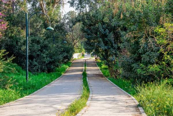 Pedieos river park Lefkoşa'daki boyunca yaya yürüme yolu