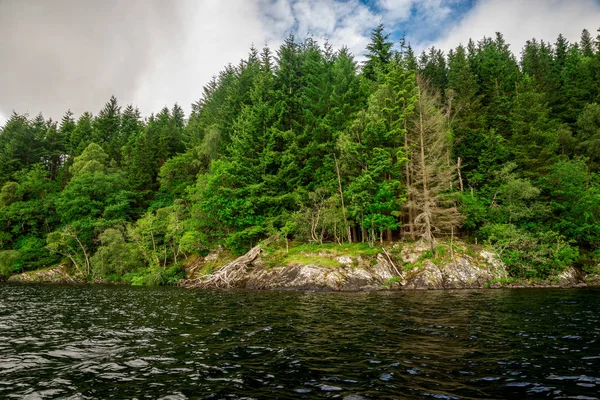 Rocky coast and a forest on the banks of Loch Tay lake — Stock Photo, Image