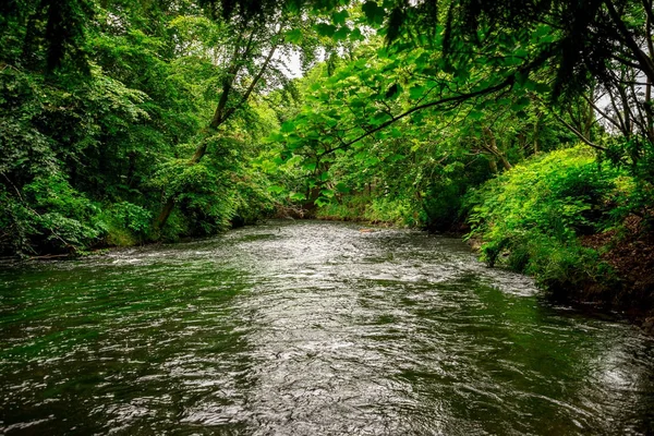 A stream of river Don flowing between plants and trees in Seaton park, Aberdeen — Stock Photo, Image